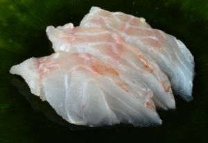 アヤメカサゴ 魚類 市場魚貝類図鑑