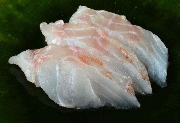 アヤメカサゴ 魚類 市場魚貝類図鑑