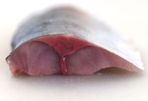 クリックで拡大表示