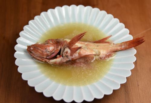 キチジ キンキ 市場魚貝類図鑑 キチジ キンキ 市場魚貝類図鑑