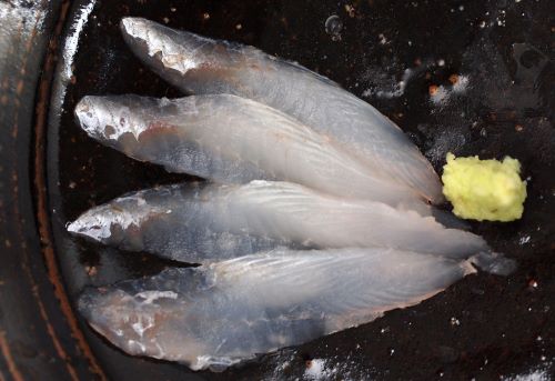 アオヤガラ 魚類 市場魚貝類図鑑