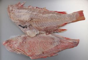 クリックで拡大表示