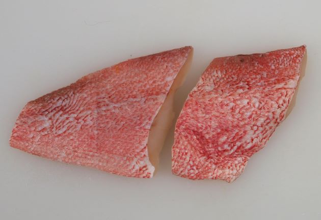 タイセイヨウアカウオ (モトアカウオ) | 市場魚貝類図鑑