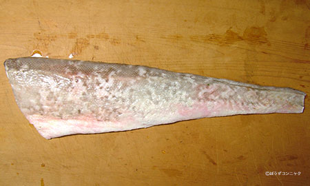 キングクリップ 魚類 市場魚貝類図鑑