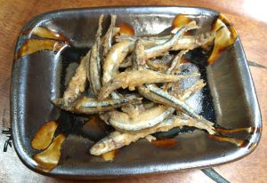 キビナゴ 魚類 市場魚貝類図鑑