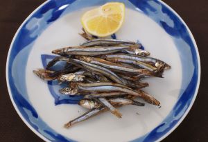キビナゴ 魚類 市場魚貝類図鑑