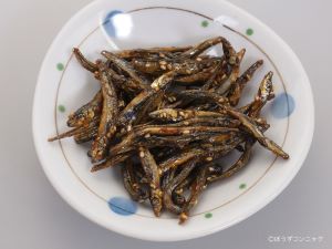 キビナゴ 魚類 市場魚貝類図鑑