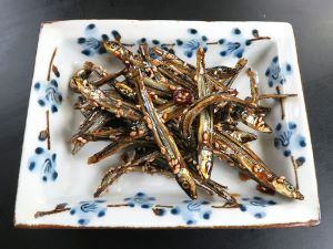 キビナゴ 魚類 市場魚貝類図鑑