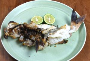 クリックで拡大表示