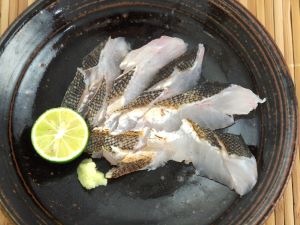 クリックで拡大表示 タケノコメバルの焼霜造り