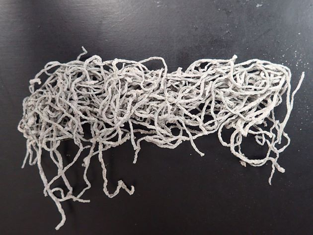 乾燥ウミゾウメン