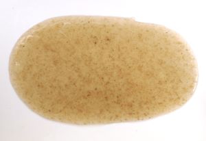 クリックで拡大表示