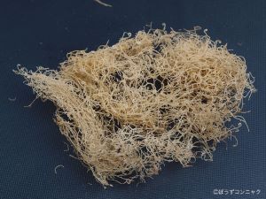 クリックで拡大表示