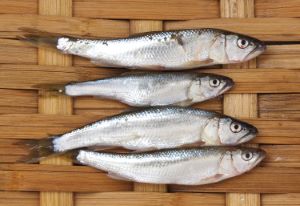 クリックで拡大表示