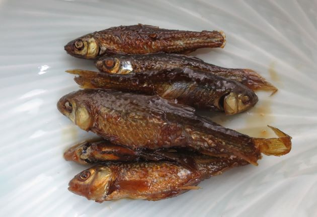 タモロコ 魚類 市場魚貝類図鑑