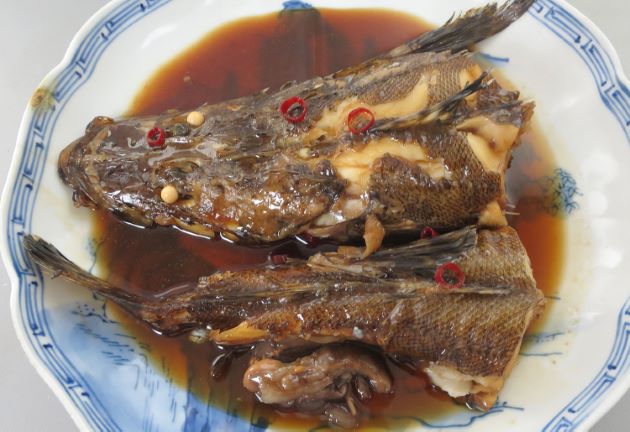 体長60cm前後になる。