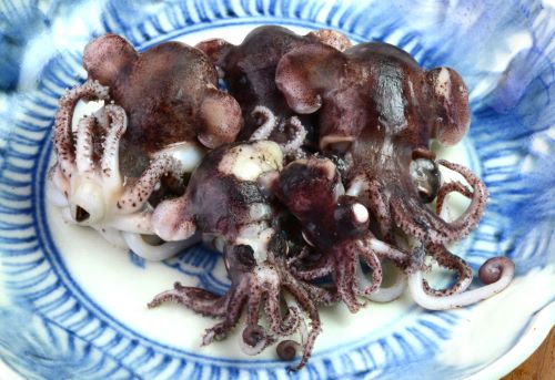 クリックで拡大表示