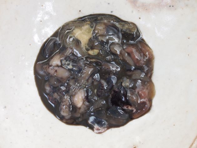 ドンビイカの塩辛