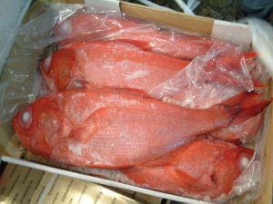 クリックで拡大表示