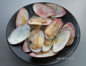 クリックで拡大表示 アラスジサラガイのワイン蒸し