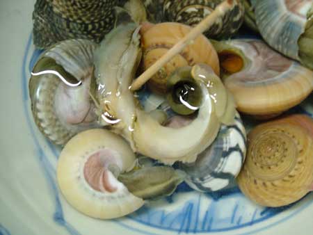 キサゴの塩ゆで