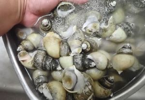 クリックで拡大表示