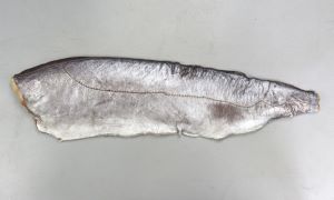 ミナミカゴカマスのサムネイル写真