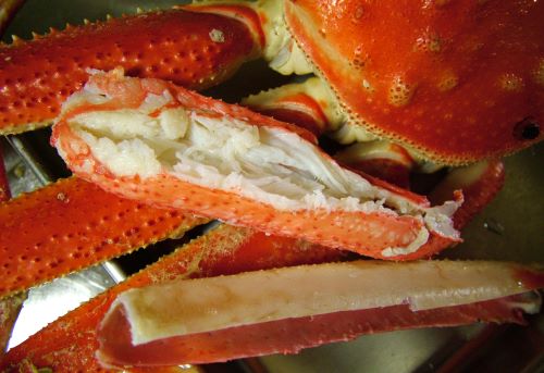 クリックで拡大表示