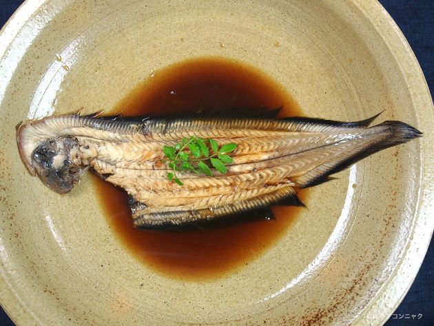 クロウシノシタの煮つけ