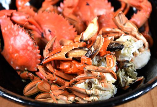 イシガニ 甲殻 市場魚貝類図鑑 イシガニ 甲殻 市場魚貝類図鑑