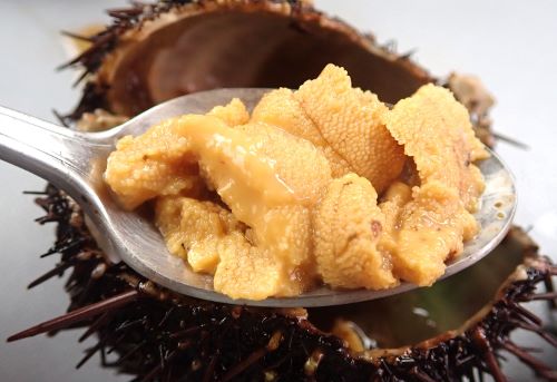 クリックで拡大表示