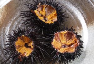 クリックで拡大表示