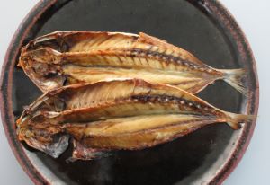 モロ 魚類 市場魚貝類図鑑