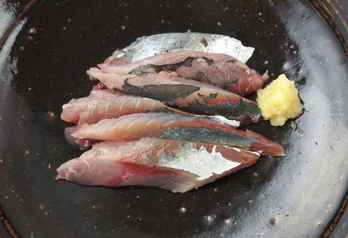 モロ 魚類 市場魚貝類図鑑