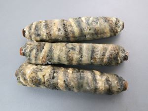 クリックで拡大表示 エソの皮竹輪