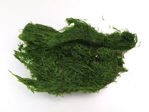 クリックで拡大表示