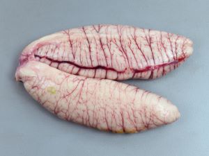 クリックで拡大表示