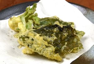 ヒロメ 海藻 植物 市場魚貝類図鑑