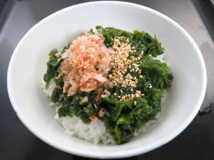 ヒロメ 海藻 植物 市場魚貝類図鑑