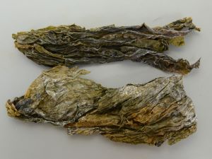 クリックで拡大表示