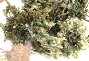 クリックで拡大表示