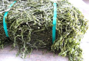 クリックで拡大表示