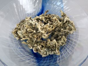 クリックで拡大表示
