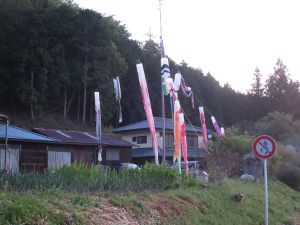 クリックで拡大表示 鯉のぼり