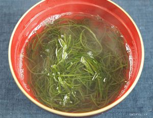 クロモ 海藻 植物 市場魚貝類図鑑 クロモ 海藻 植物 市場魚貝類図鑑