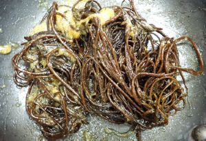 クロモ 海藻 植物 市場魚貝類図鑑 クロモ 海藻 植物 市場魚貝類図鑑