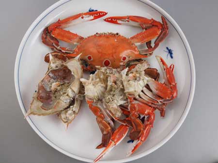 茹でたジャノメガザミ