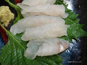クリックで拡大表示 マゴチのあらい