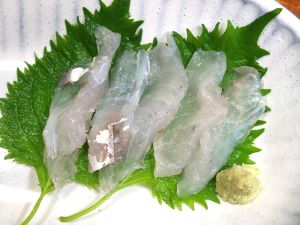 クリックで拡大表示 マゴチの刺身