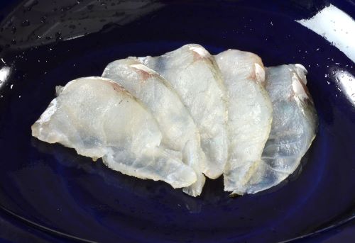 マゴチ コチ 市場魚貝類図鑑
